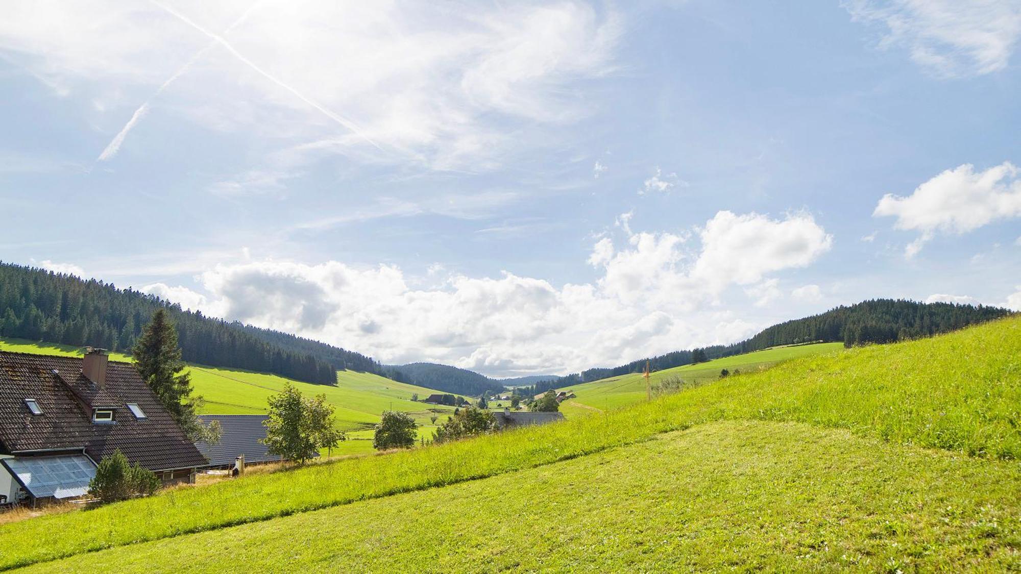 Haus Zum Sternen Apartment Vöhrenbach Exterior foto